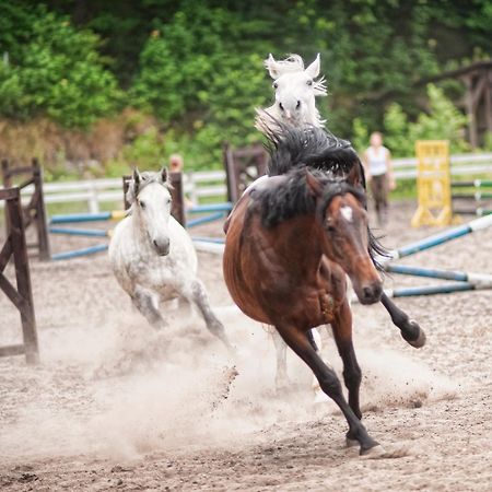 ホテル フォルバルク クションジェンツィ クリチュクフ エクステリア 写真